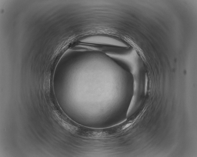 X0000083610493200702201254