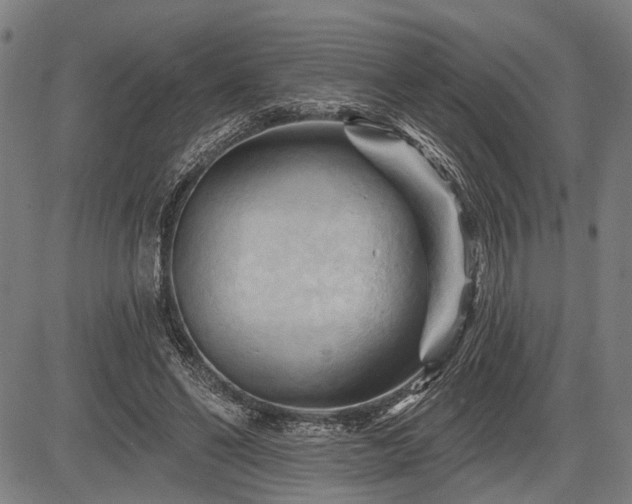 X0000083610494200702201254