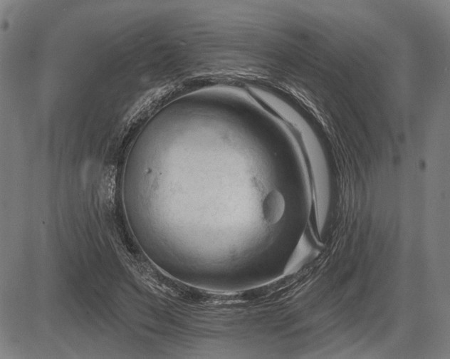 X0000083610495200702201254