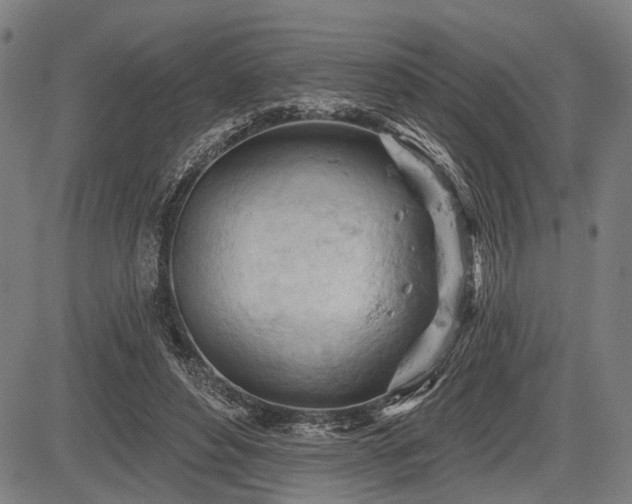 X0000083610496200702201253