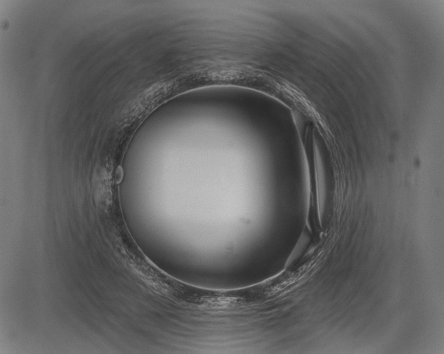 X0000083610497200702201253