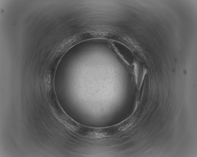 X0000083610498200702201253