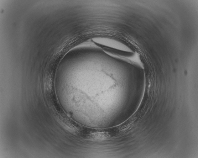 X0000083610499200702201253