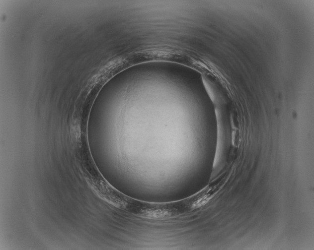 X0000083610500200702201253