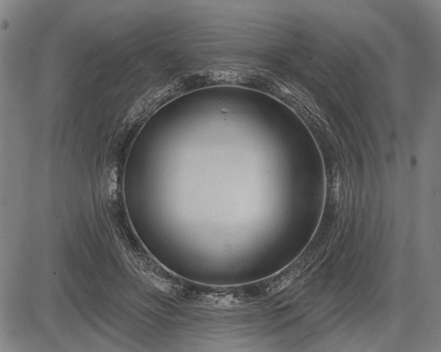 X0000083610502200702201253