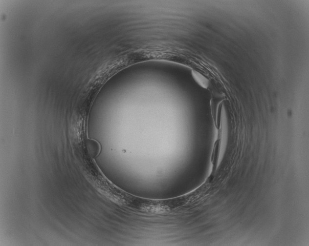 X0000083610503200702201253