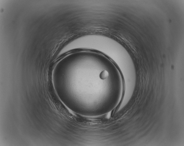 X0000083610504200702201253