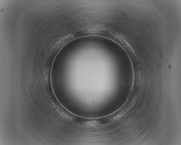 X0000083610505200702201253