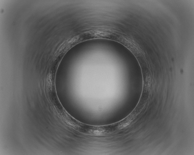 X0000083610506200702201253