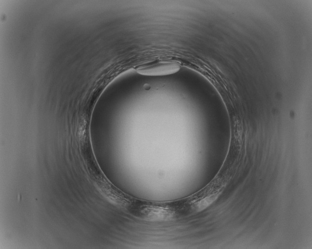 X0000083610507200702201253