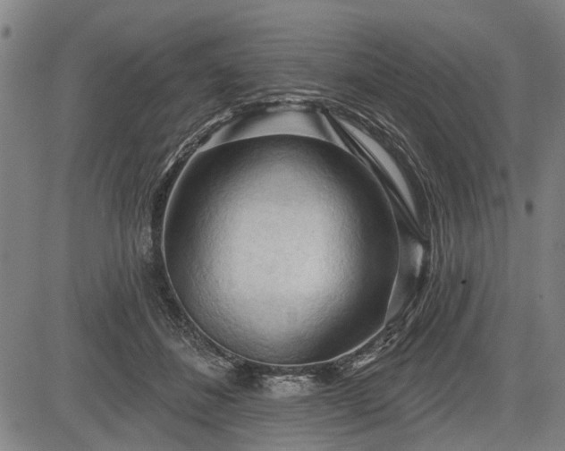 X0000083610508200702201253