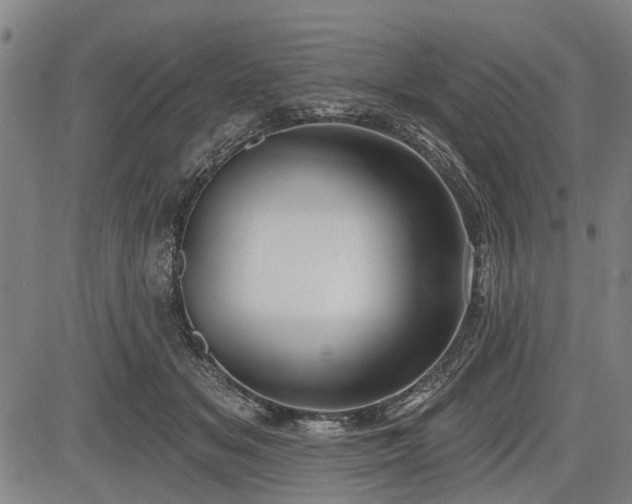 X0000083610509200702201253