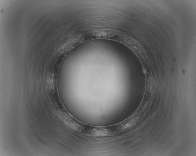 X0000083610510200702201253