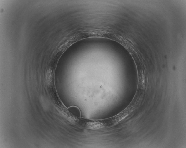 X0000083610511200702201253