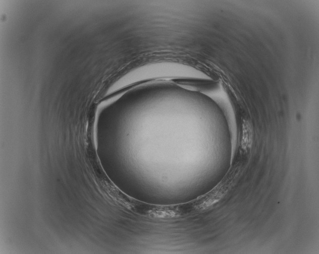 X0000083610512200702201253