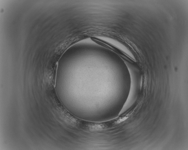 X0000083610513200702201253