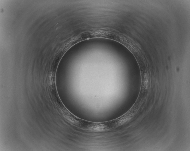 X0000083610514200702201253