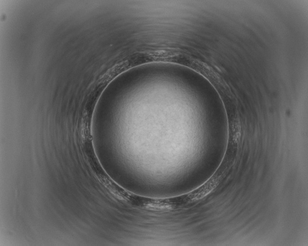 X0000083610515200702201253