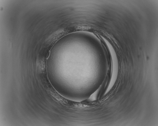 X0000083610517200702201253