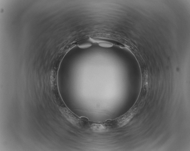 X0000083610519200702201253