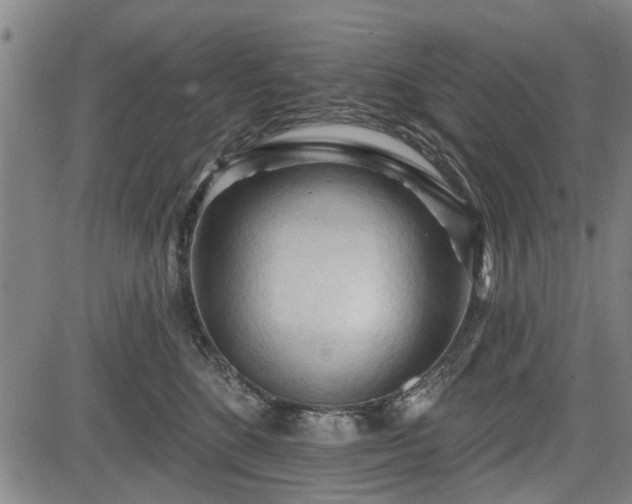 X0000083610520200702201253