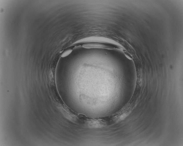 X0000083610523200702201253