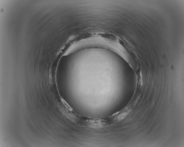 X0000083610524200702201253