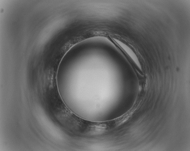 X0000083610525200702201253