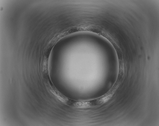 X0000083610526200702201253