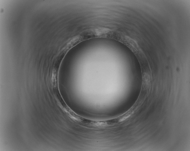 X0000083610527200702201253