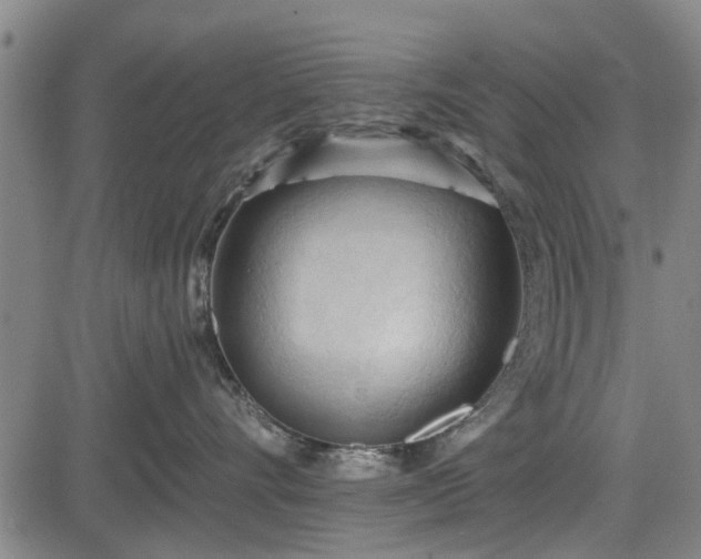 X0000083610528200702201253