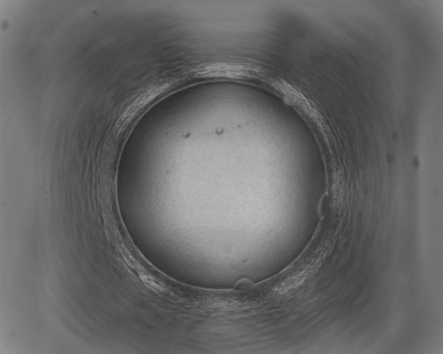 X0000083610529200702201252