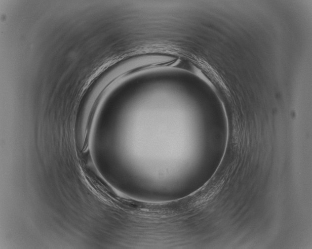 X0000083610530200702201252