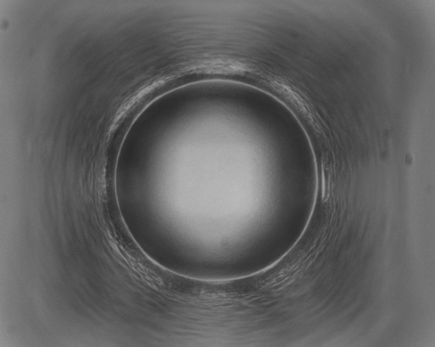 X0000083610531200702201252