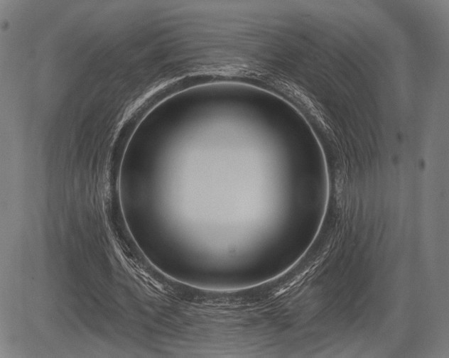 X0000083610532200702201252