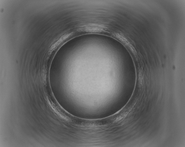 X0000083610533200702201252