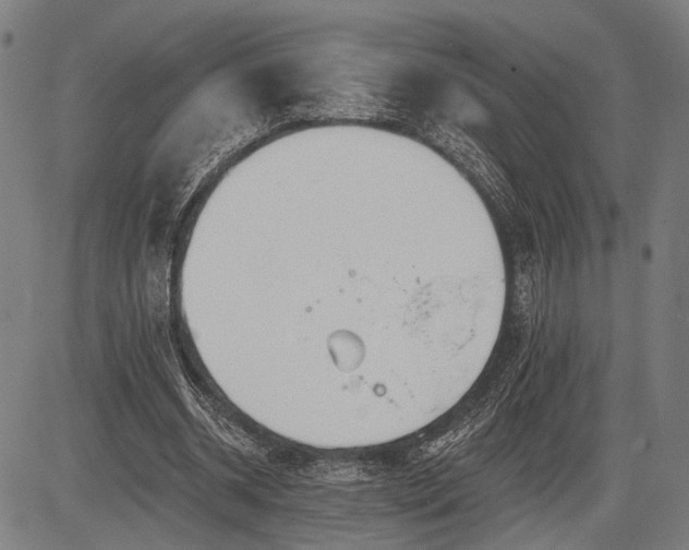 X0000083610534200702201252