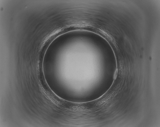 X0000083610535200702201252