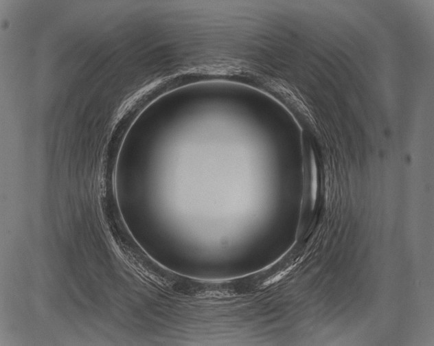 X0000083610536200702201252