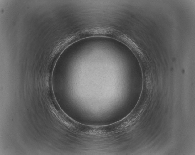 X0000083610537200702201252