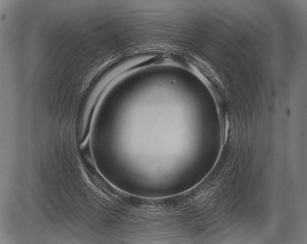 X0000083610538200702201252