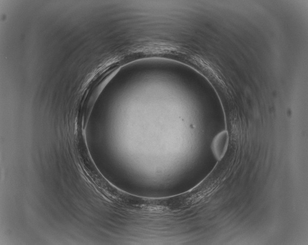 X0000083610539200702201252