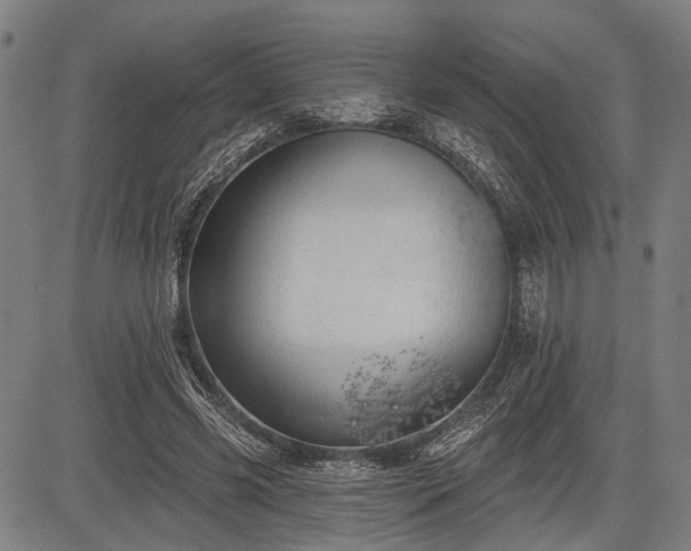 X0000083610541200702201252