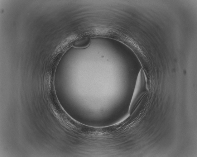 X0000083610542200702201252