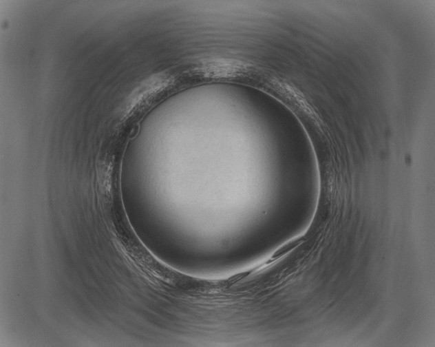 X0000083610543200702201252