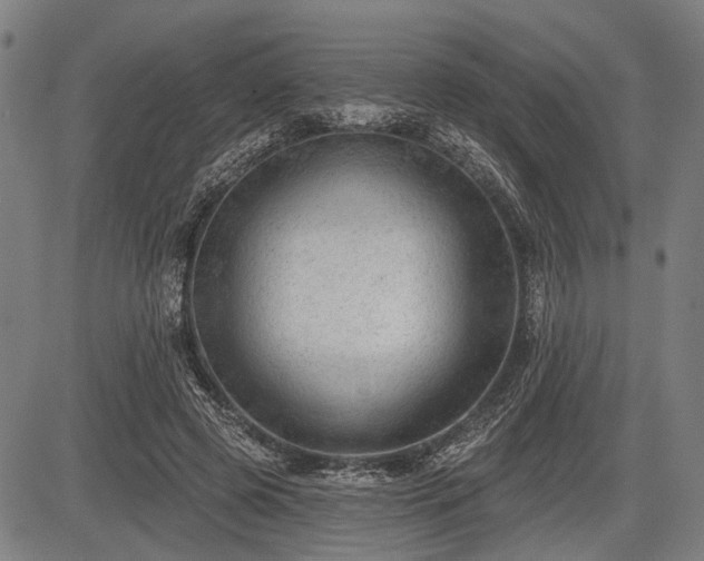 X0000083610545200702201252