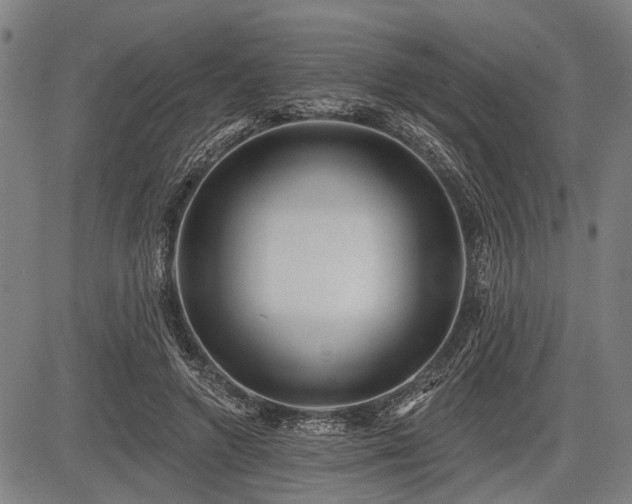 X0000083610546200702201252