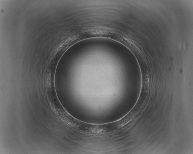 X0000083610547200702201252