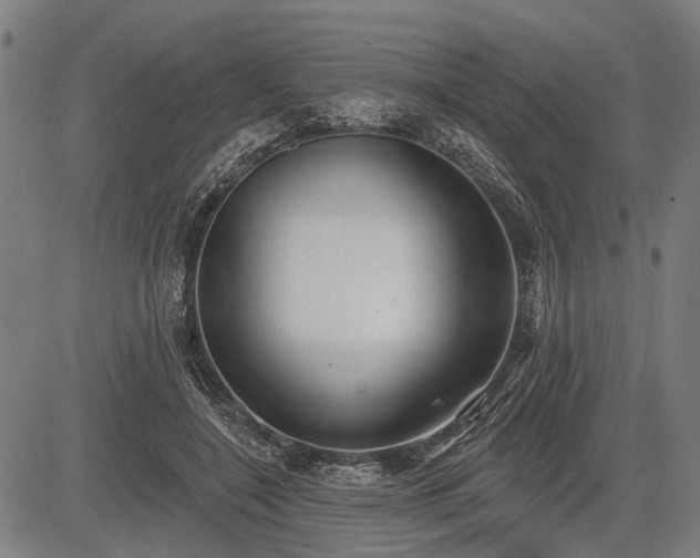 X0000083610548200702201252