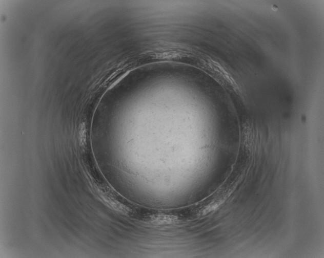 X0000083610549200702201252